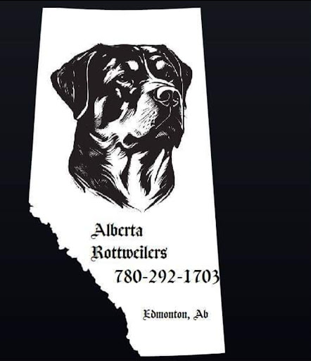 Alberta Rottweilers