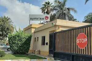 Symrise Egypt (SYM04) image