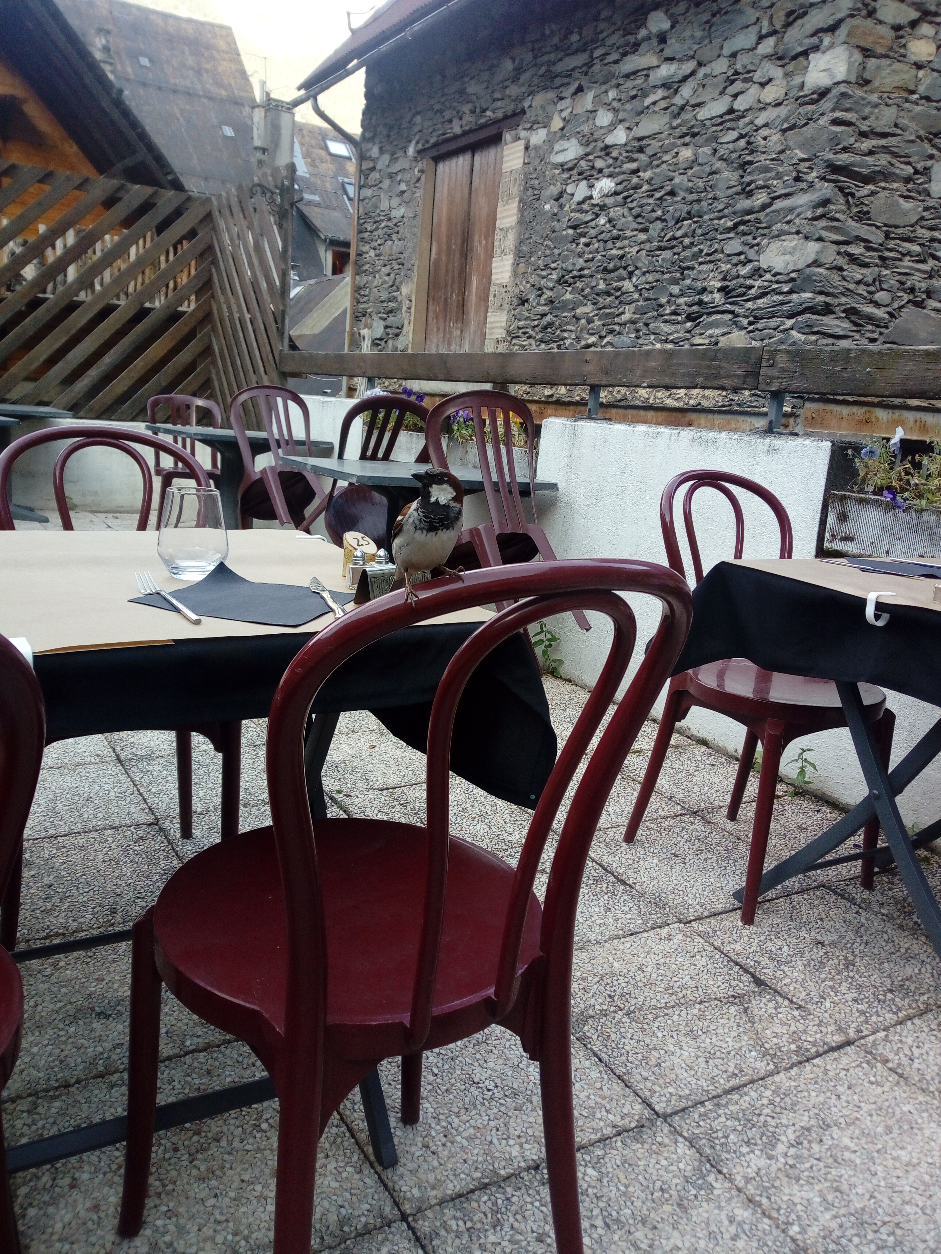 Photo n° 1 de l'avis de Manon.e fait le 04/07/2018 à 11:27