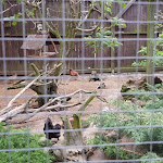 Photo n°4 de l'avis de Sylvia.u fait le 15/05/2019 à 16:24 sur le  Zum Nussbaum - Erlebnishof Kützkow à Havelsee