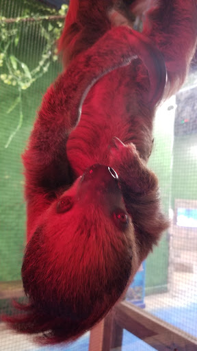 Aquarium «SeaQuest Interactive Aquarium», reviews and photos, 1201 N Hill Field Rd #1072, Layton, UT 84041, USA