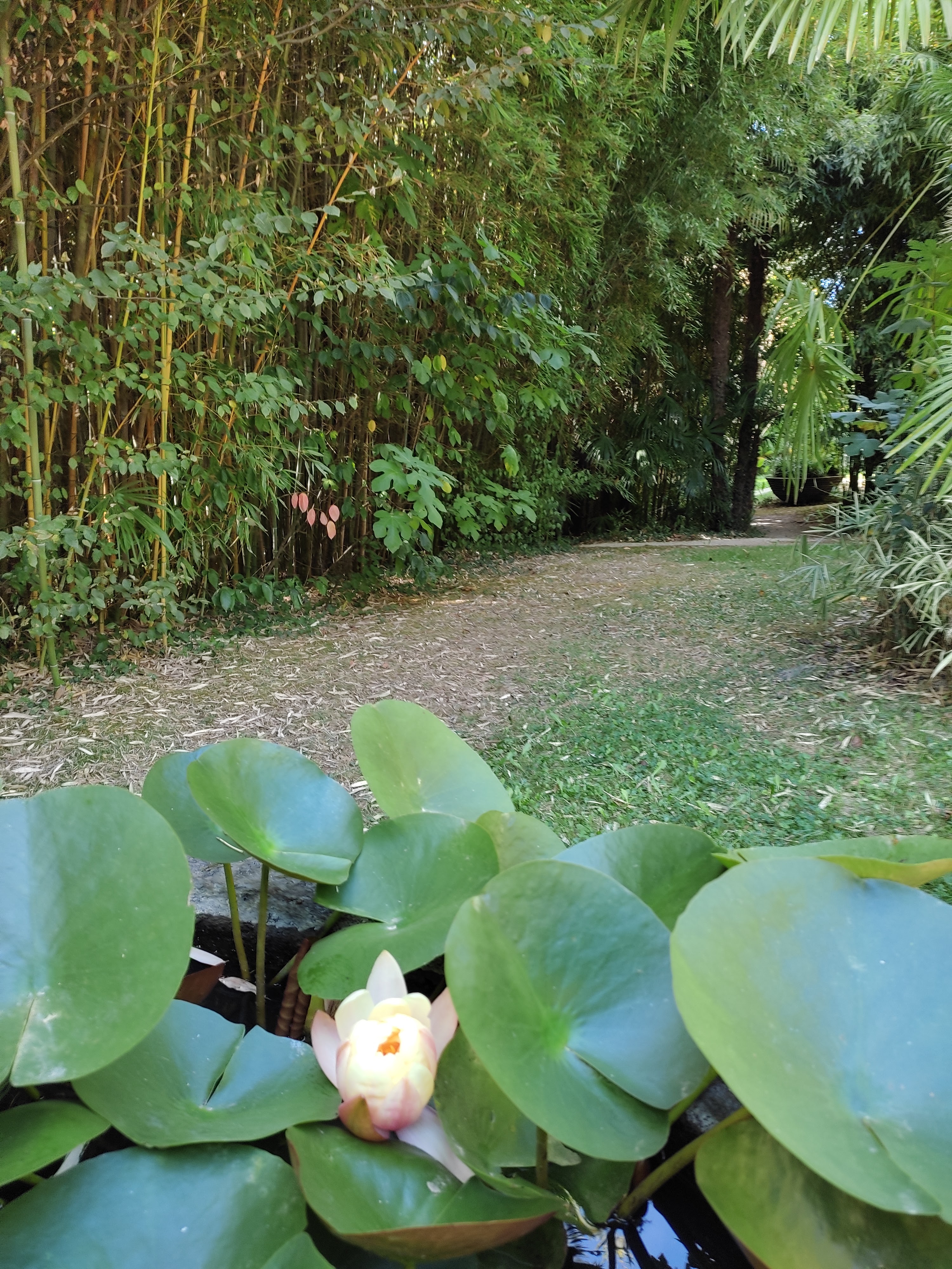 Photo n° 31 de l'avis de Nini.o fait le 22/09/2022 à 13:53