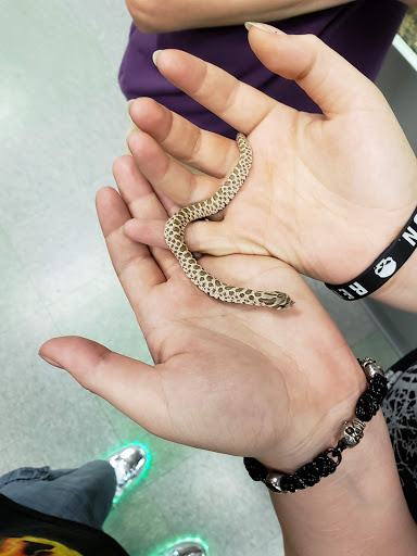 Pet Store «Friendly Pets», reviews and photos, 625 Friendly Center Rd, Greensboro, NC 27408, USA