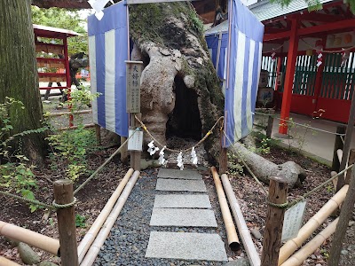 夫婦欅