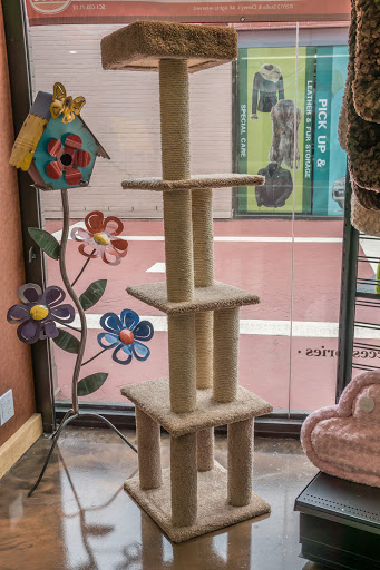 Pet Supply Store «Modern Pet», reviews and photos, 212-77 26th Ave, Bayside, NY 11360, USA