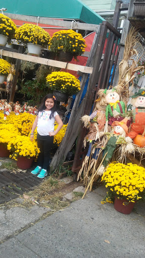 Produce Market «Hudson Farmers Market», reviews and photos, 3437 John F. Kennedy Blvd, Jersey City, NJ 07307, USA