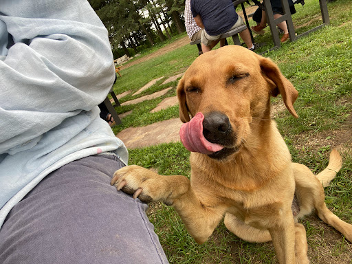 Winery «SoLu Estate Winery & Meadery», reviews and photos, W8269 County Rd F, Cascade, WI 53011, USA