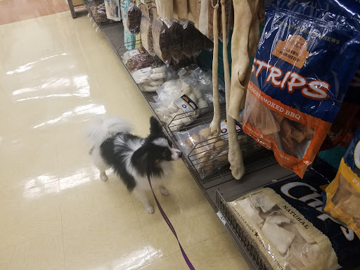 Pet Supply Store «Petco Animal Supplies», reviews and photos, 97 NE Plaza, North East, MD 21901, USA