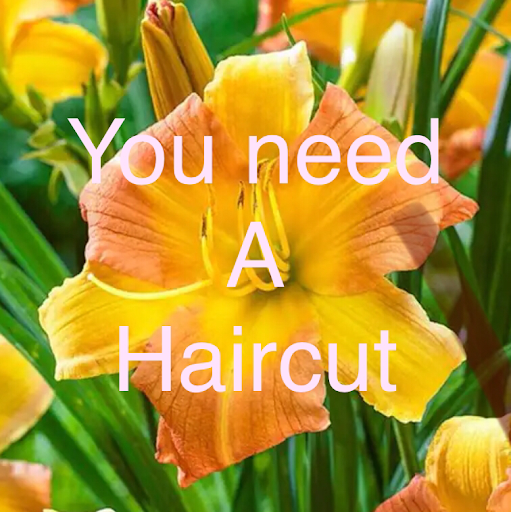 Barber Shop «1048 Barber Lounge», reviews and photos, 1048 S Clinton Ave, Rochester, NY 14620, USA