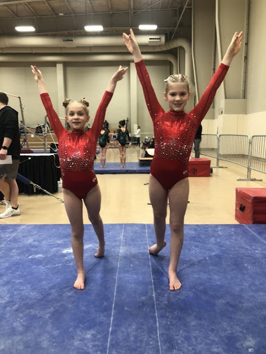 Gymnastics Center «Elite Gymnastics», reviews and photos, 8321 Bluebonnet Blvd, Baton Rouge, LA 70810, USA