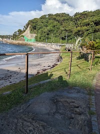 ゴジラの足跡