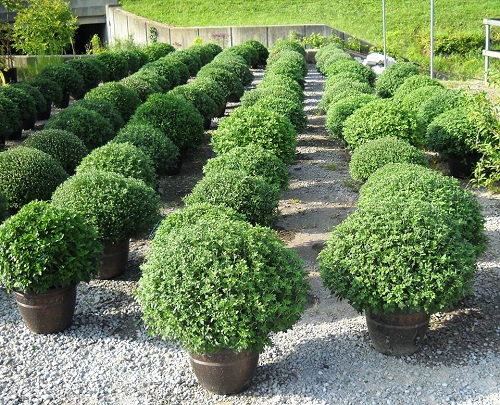 Pet Supply Store «Bethel Feed & Supply Pet & Garden Center», reviews and photos, 528 W Plane St, Bethel, OH 45106, USA