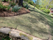 Lawn Care Professionals LLC - Photo 4 - Car repair in , Birmingham