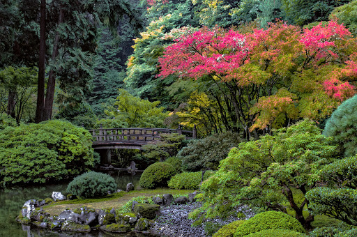 Garden «Portland Japanese Garden», reviews and photos, 611 SW Kingston Ave, Portland, OR 97205, USA