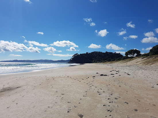 Whangapoua Beach