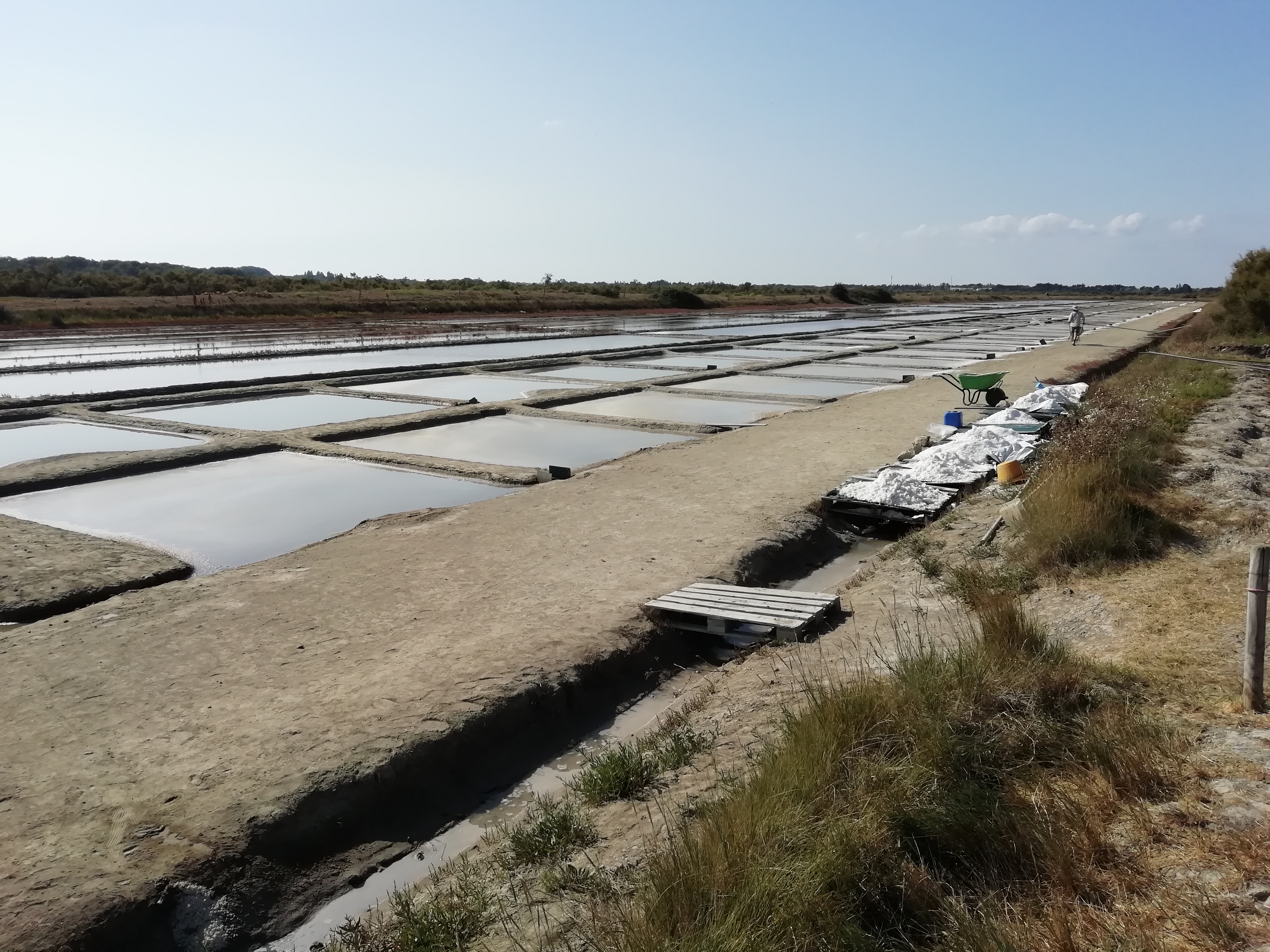 Photo n° 1 de l'avis de Aurore.A fait le 08/09/2021 à 14:56