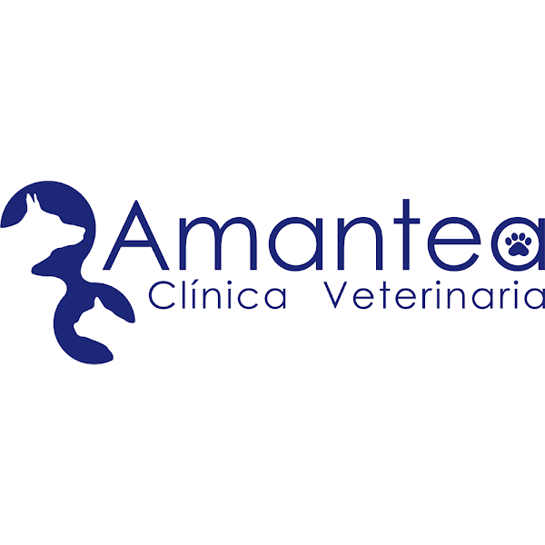 Imagen de Clinica Veterinaria Amantea (17 de 17)
