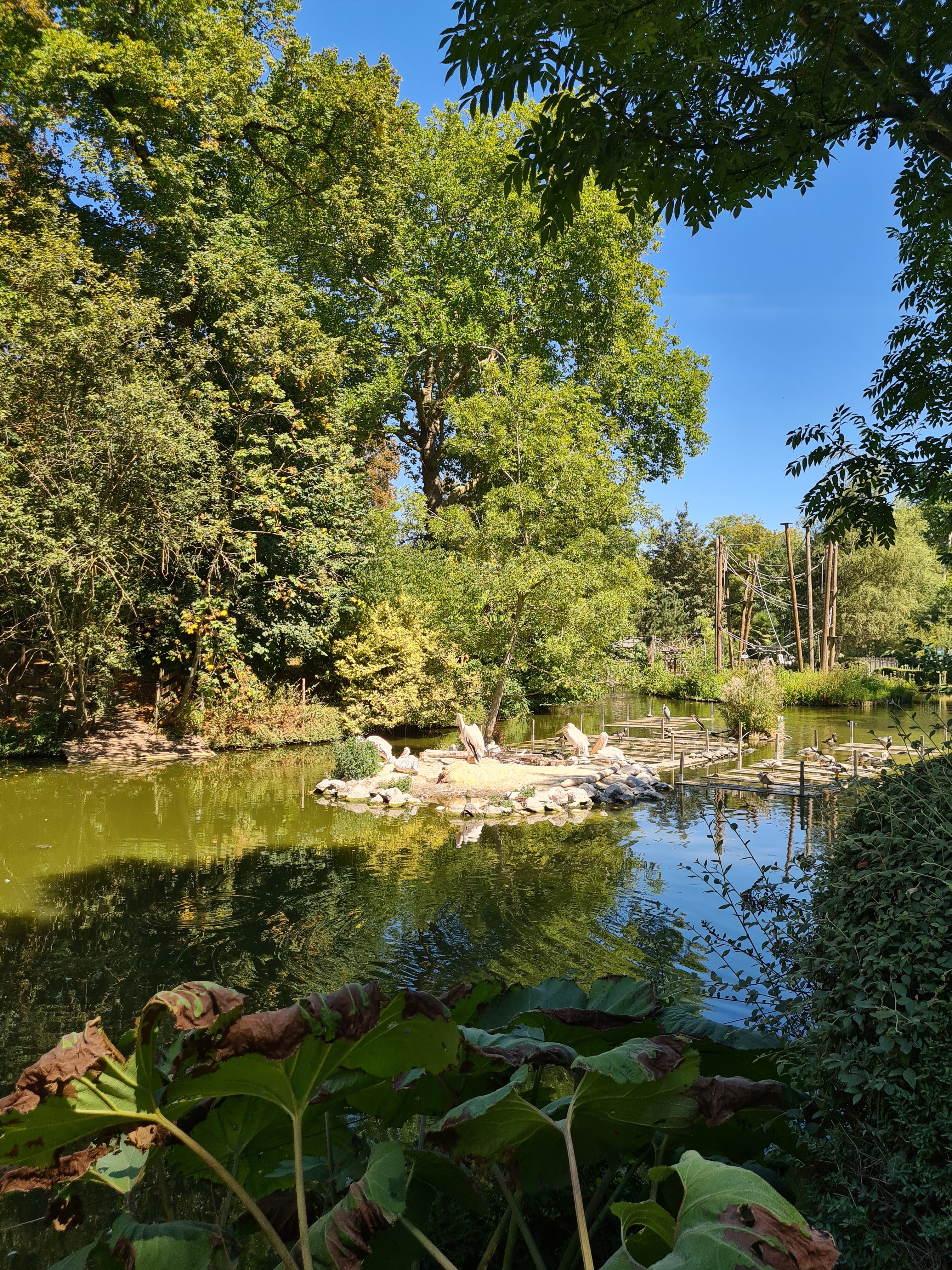 Photo n° 2 de l'avis de Alexi.e fait le 14/08/2022 à 12:26