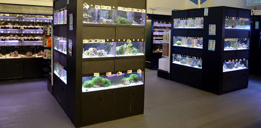 Pet Store «B & B Pet Stop, Inc.», reviews and photos, 5035 Cottage Hill Rd, Mobile, AL 36609, USA