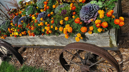 Winery «Apple Barn Orchard & Winery», reviews and photos, W6384 Sugar Creek Rd, Elkhorn, WI 53121, USA