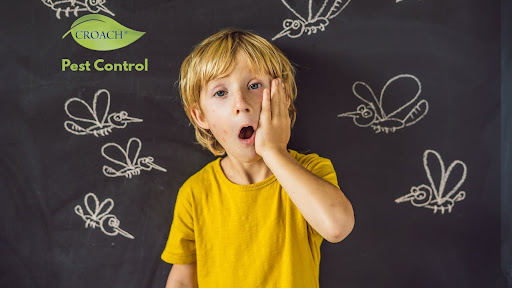 Pest Control Service «Croach», reviews and photos