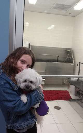 Pet Supply Store «Purely Pets», reviews and photos, 13723 23 Mile Rd, Shelby Charter Township, MI 48315, USA