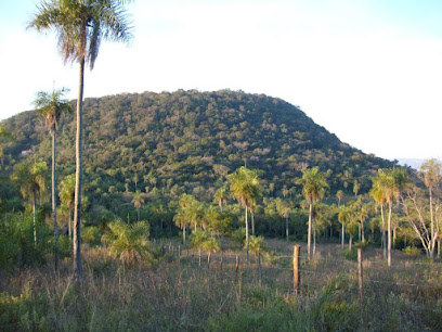 Cerro Patiño
