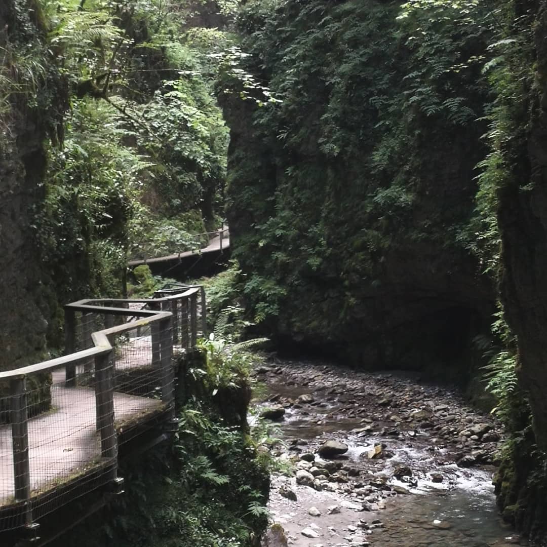 Photo n° 4 de l'avis de Corentin.t fait le 17/07/2019 à 21:16