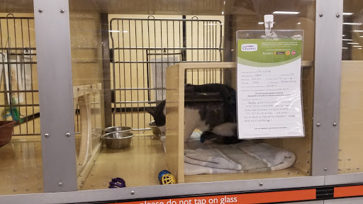 Pet Supply Store «PetSmart», reviews and photos, 4300 E Alameda Ave, Glendale, CO 80246, USA