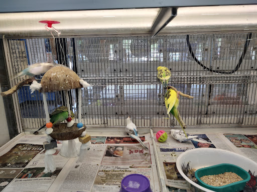 Pets Plus, 4450 E Black Horse Pike, Mays Landing, NJ 08330, USA, 