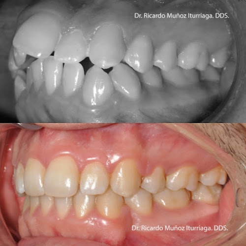 Dra. Isabel Margarita Kurth Rojas, Dentista - Dentista