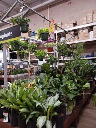 Home Improvement Store «The Home Depot», reviews and photos, 6555 Little River Turnpike, Alexandria, VA 22312, USA