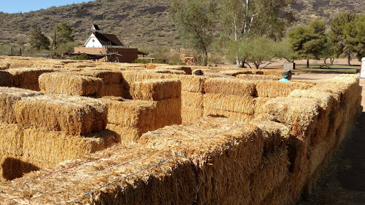 History Museum «Pioneer Living History Museum», reviews and photos, 3901 W Pioneer Rd, Phoenix, AZ 85086, USA