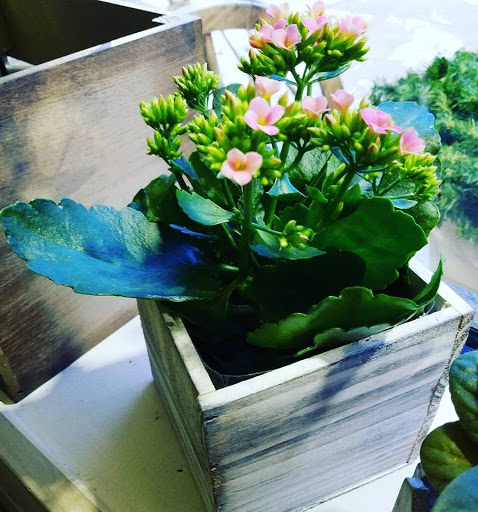 Florist «Happiness is... The Little Flower Shop», reviews and photos, 39277 Grand River Ave, Farmington Hills, MI 48335, USA