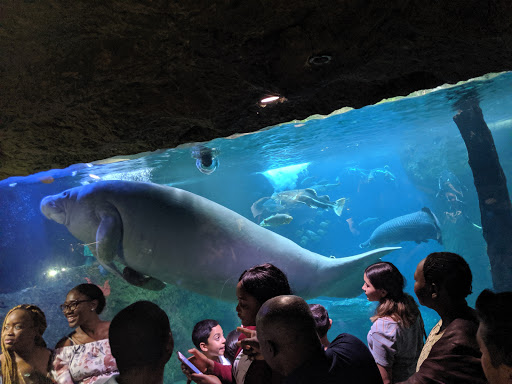 The Dallas World Aquarium