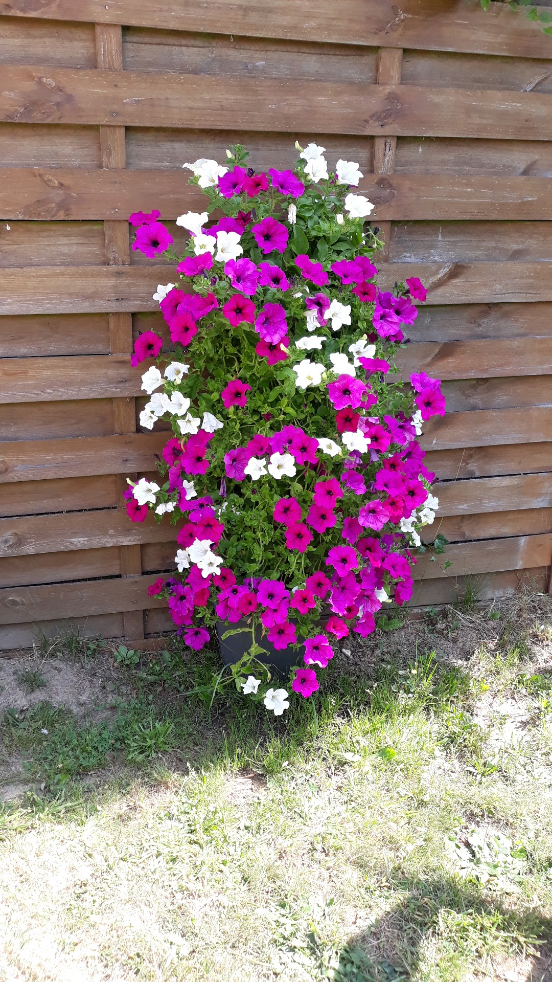 Photo n° 2 de l'avis de Stephane.i fait le 17/07/2019 à 09:48