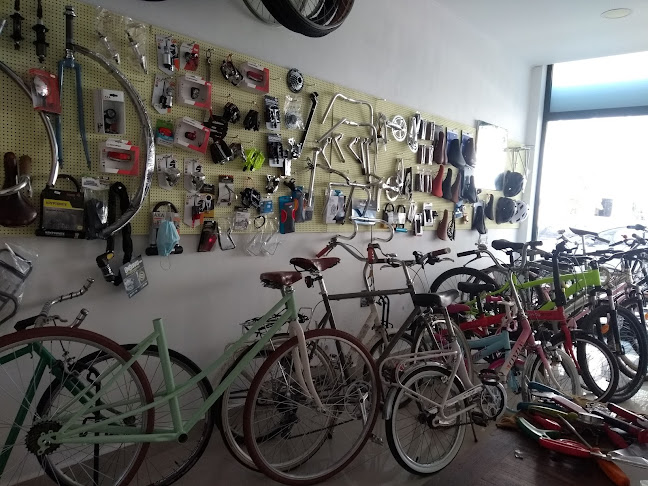 Ás de Rodas - Loja de Bicicletas - Oficina e Bicicletas - Lisboa
