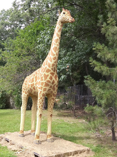 Zoo «Capron Park Zoo», reviews and photos, 201 County St, Attleboro, MA 02703, USA