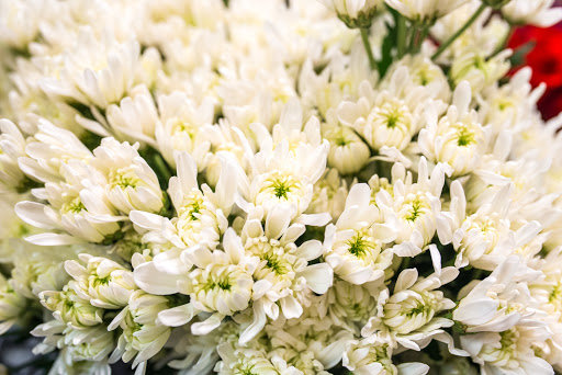 Florist «Edgewood Flowers», reviews and photos, 4927 S Orange Ave, Orlando, FL 32806, USA