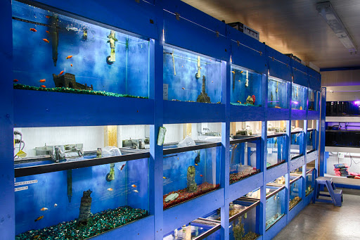 Pet Store «Pet World - Auburndale», reviews and photos, 3637 Havendale Blvd, Auburndale, FL 33823, USA