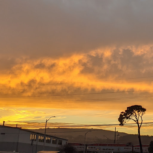 Grocery Store «Safeway», reviews and photos, 525 El Camino Real, Millbrae, CA 94030, USA