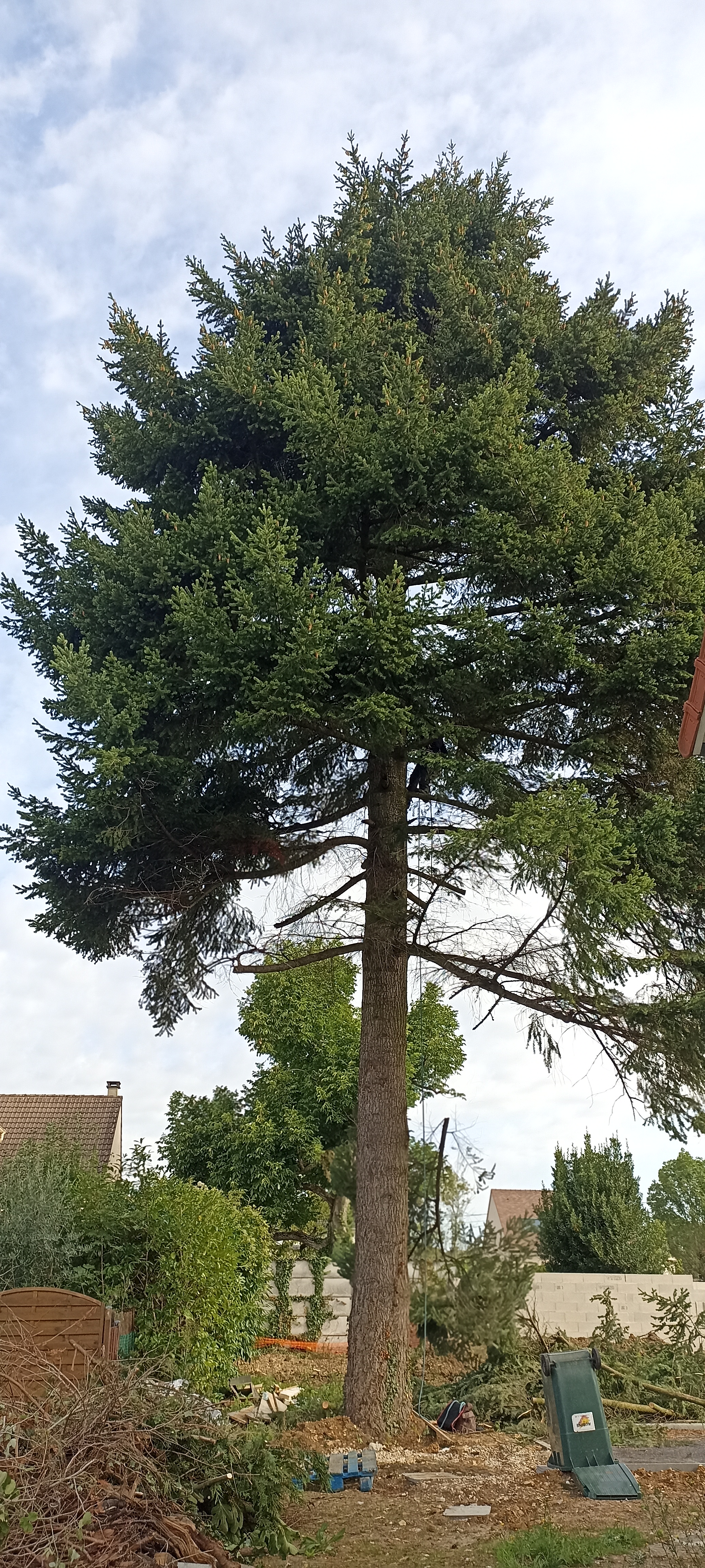 Photo n° 2 de l'avis de Marie.a fait le 17/08/2023 à 18:36