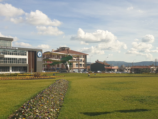 Yurtiçi Kargo Karya