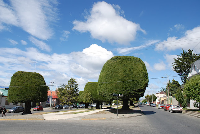 Av. España 910, Punta Arenas, Magallanes y la Antártica Chilena, Chile