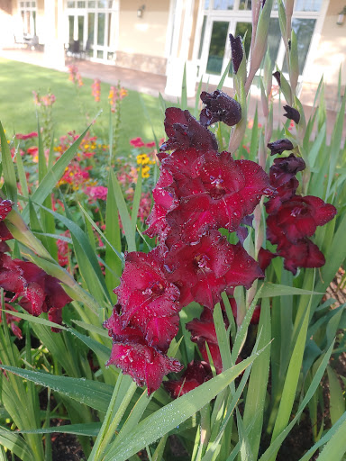 Country Club «Pinehurst Country Club», reviews and photos, 6255 W Quincy Ave, Denver, CO 80235, USA