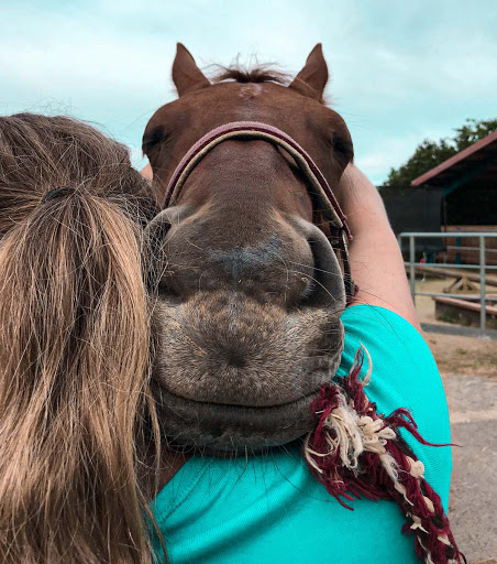 Tierarzt & Osteopathie Claudia Otto unter Kreuztal, Nordrhein-Westfalen
