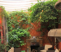 Café Punta Del Cielo photo