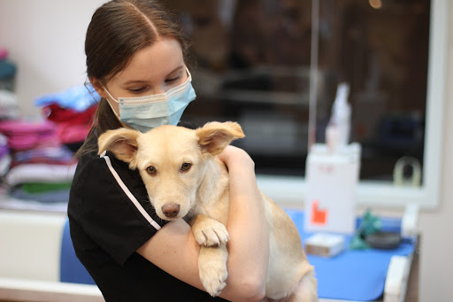 Vedder Mountain Veterinary Clinic image