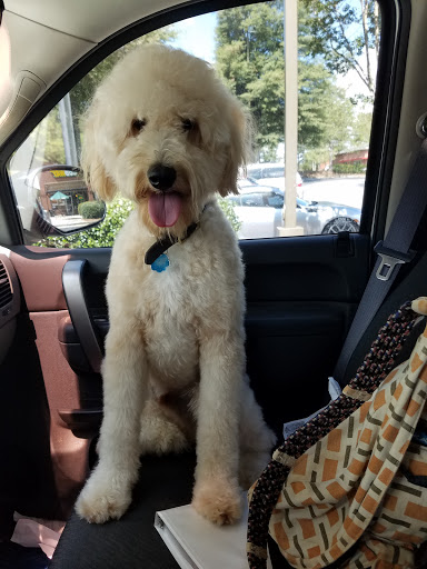 Pet Groomer «Splash and Dash Groomerie & Boutique», reviews and photos, 224 Peachtree East Shopping Center, Peachtree City, GA 30269, USA