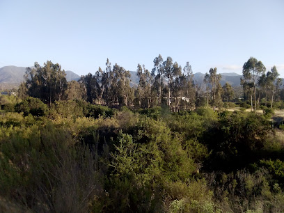 El Valle de catapilco